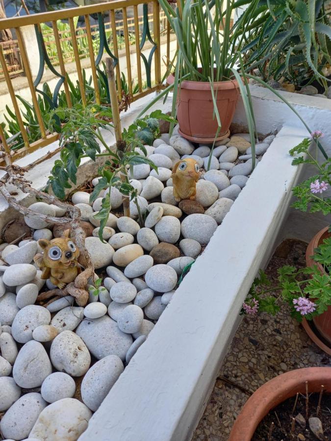 Alexandros Cosy House For Family Vacation Apartment Ханя Екстериор снимка