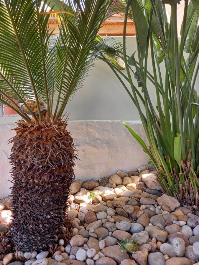 Alexandros Cosy House For Family Vacation Apartment Ханя Екстериор снимка